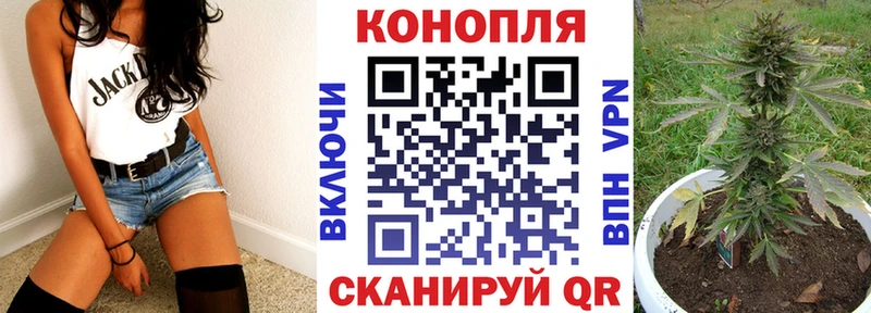 Где купить наркотики Новозыбков Кокаин Меф ГАШ Псилоцибиновые грибы МАРИХУАНА А ПВП АМФ