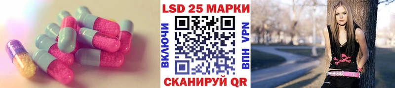 даркнет формула Новозыбков Лсд 25 экстази кислота OMG зеркало