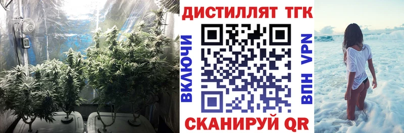 ТГК вейп с тгк гидра ссылки Новозыбков купить закладку