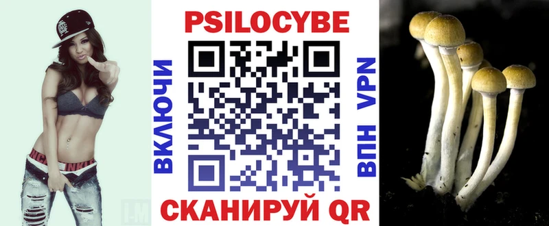 Псилоцибиновые грибы ЛСД  где можно купить наркотик  Новозыбков 
