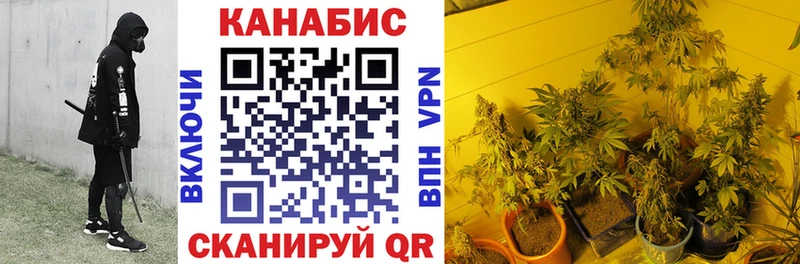 MEGA ТОР  дарнет шоп  Новозыбков  Канабис тримм 